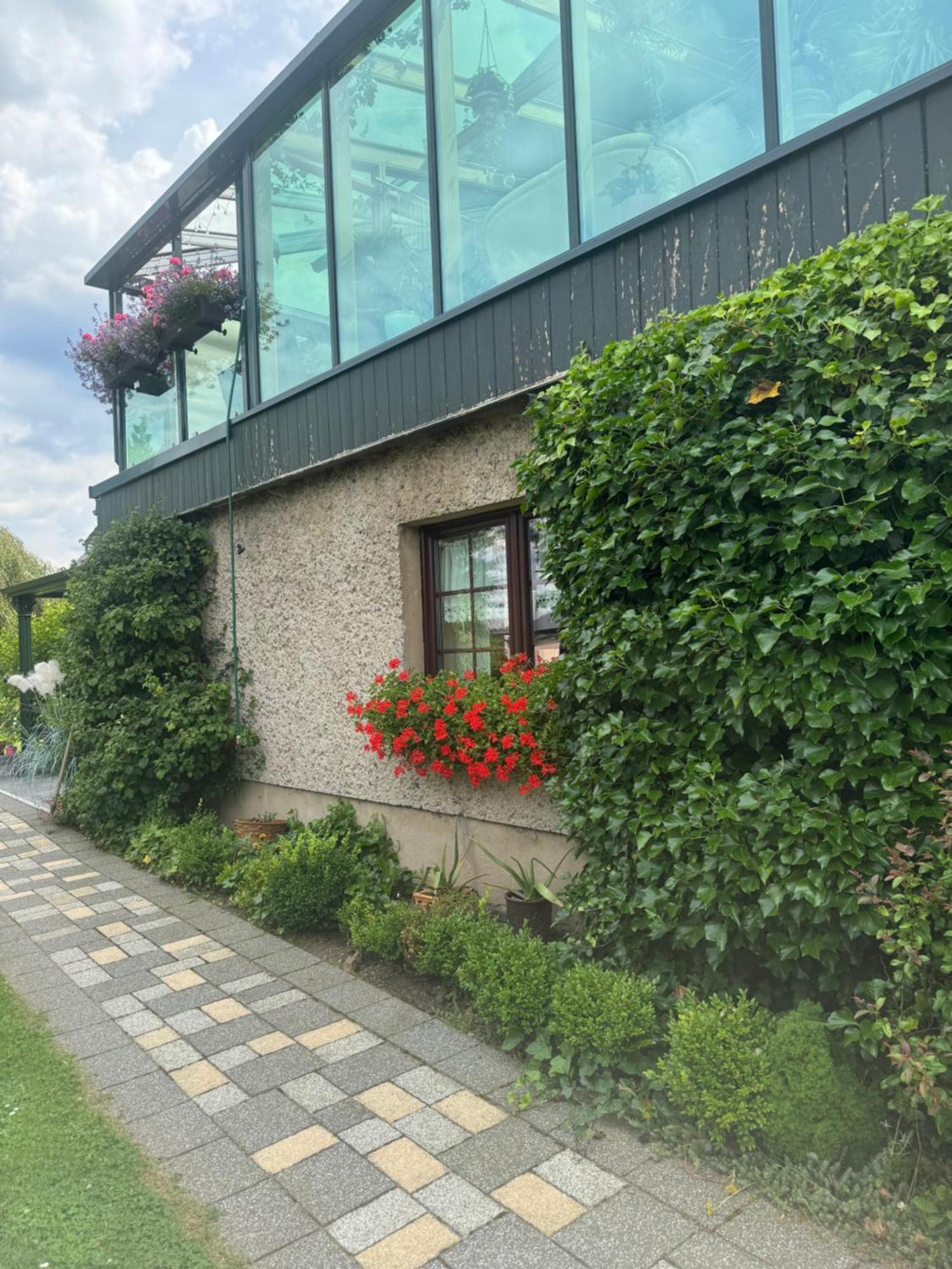 Ferienwohnung Hinterhermsdorf Glaser Sebnitz Kültér fotó